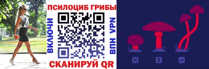 Купить где  Всеволожск  Галлюциногенные грибы мухоморы 